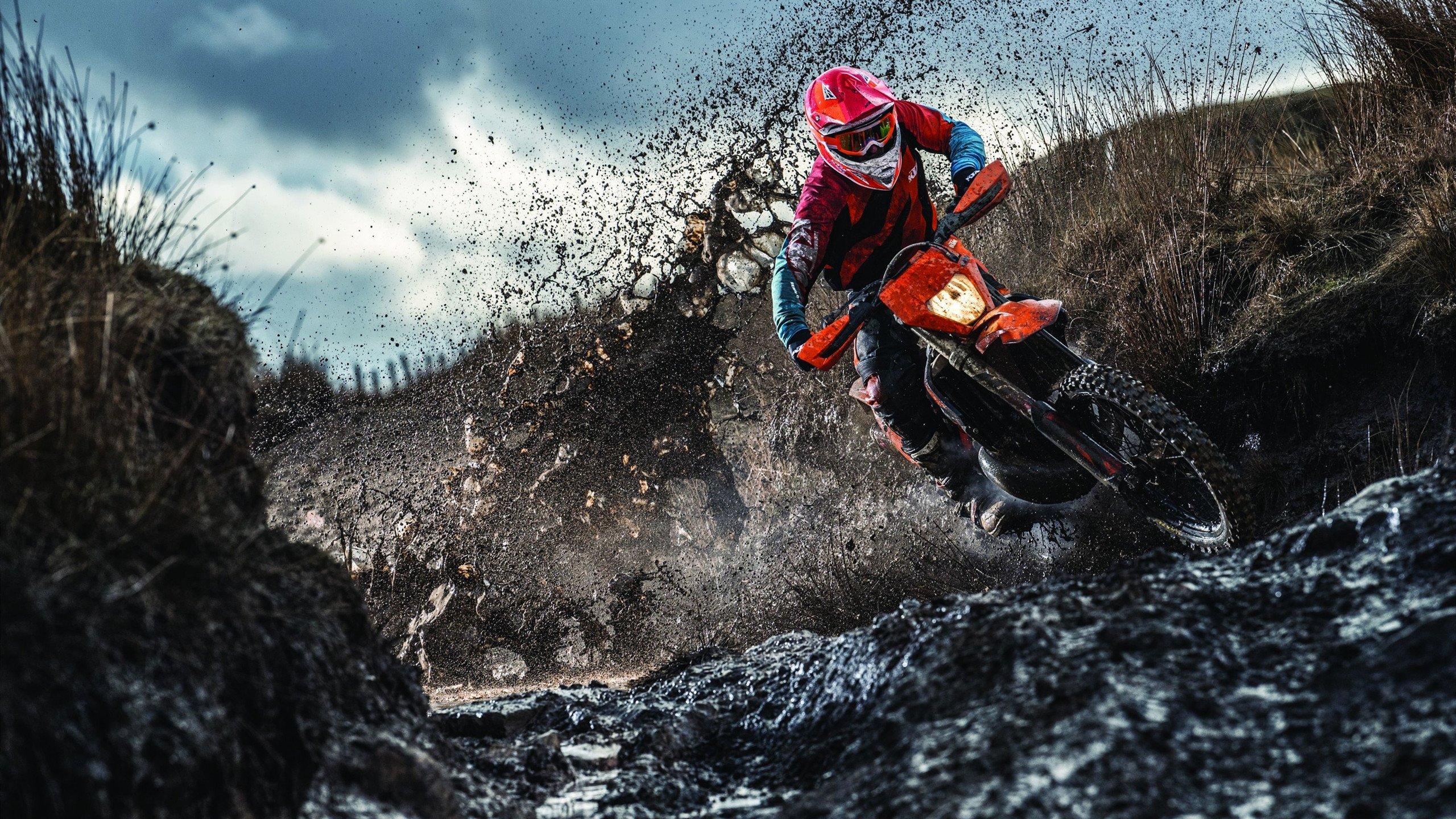 国王加冕夜，霍勒迪惊艳四座，北京队憾负见证传奇